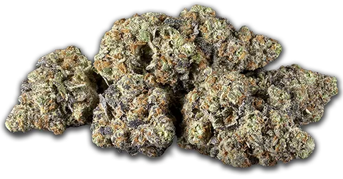 fresh green cannabis